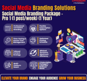 Social Media Branding (Pro 1 - 1post/week/1 yr)