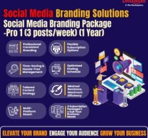 Social Media Branding (Pro 1 - 3posts/week/1 yr)