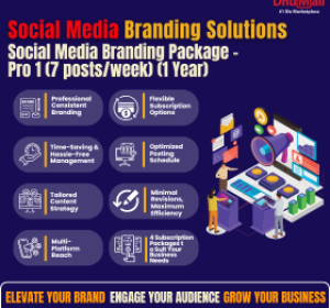 Social Media Branding (Pro 1 - 7posts/week/1 yr)