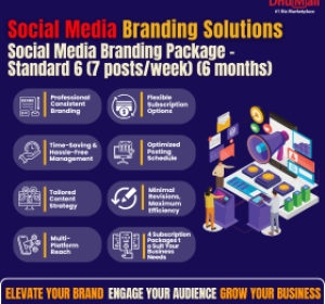 Social Media Branding (Std 6 - 7posts/week/6 mth)